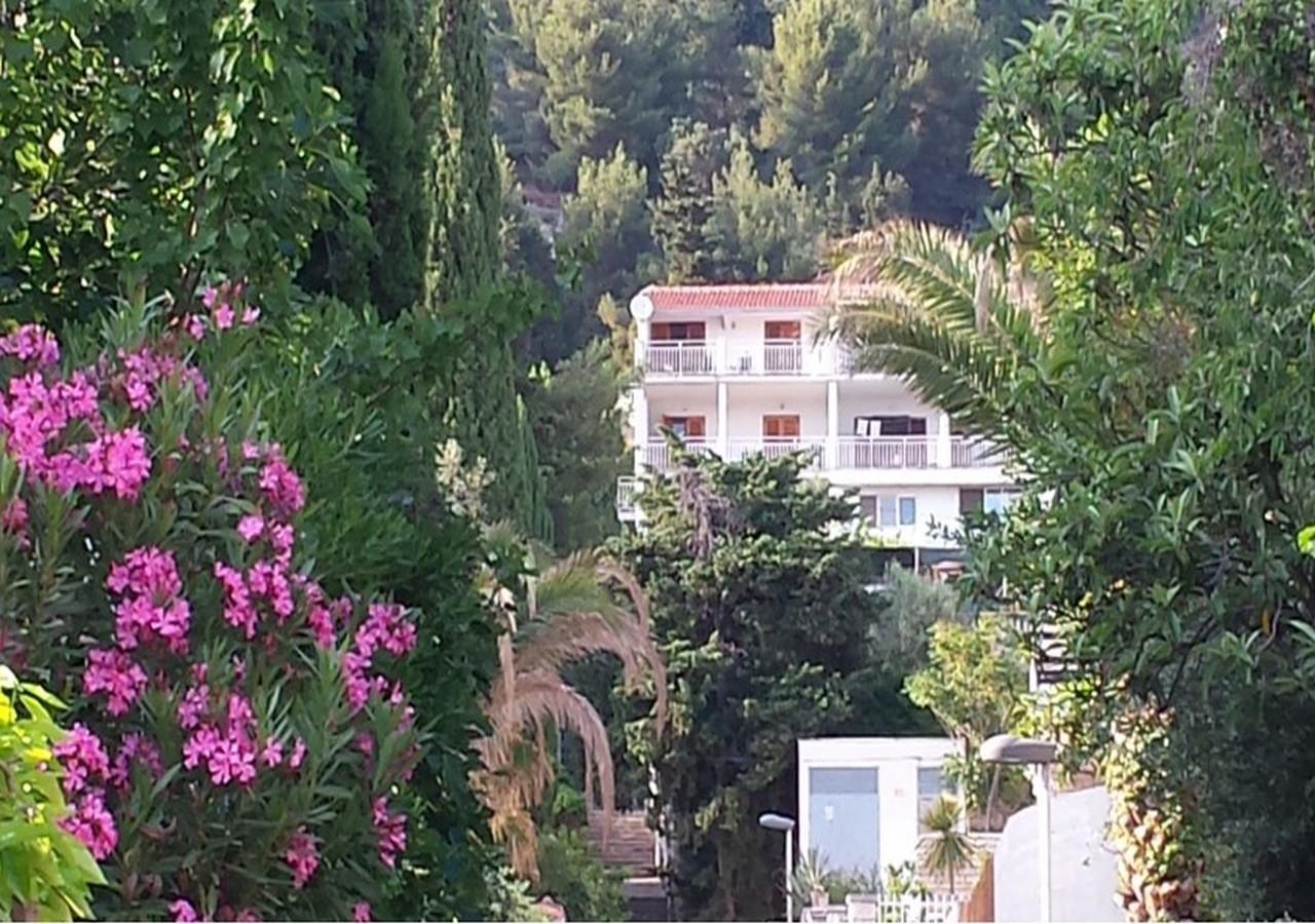 Angie - Marjan Hill Apartment