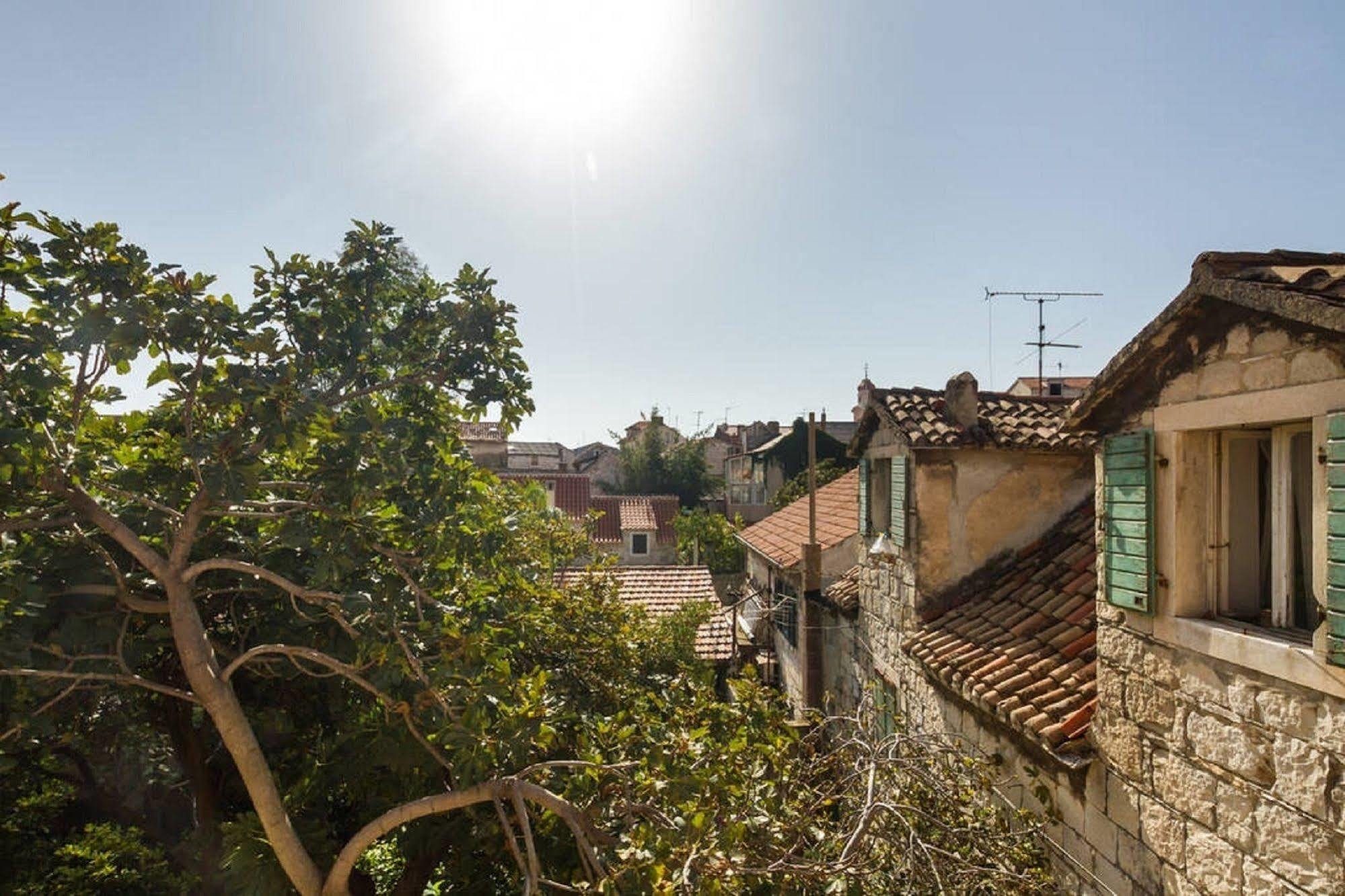 Peruzovic 1