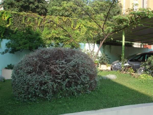 Guest house Apartmans And Madunic I