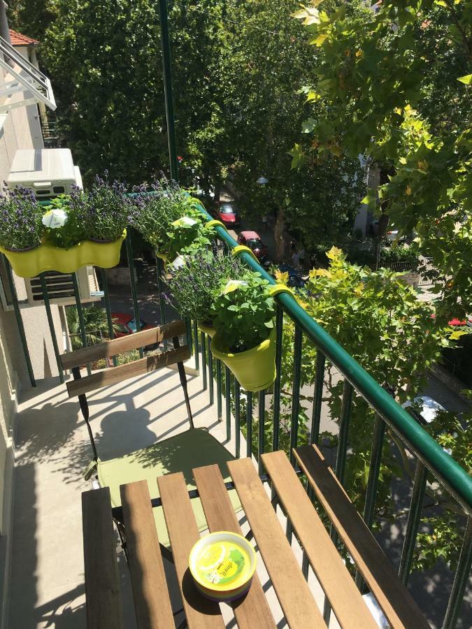 Central Beach Apartment Apartman *