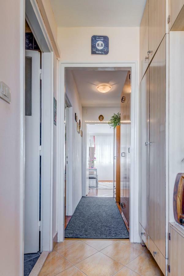 Guest house Alijev