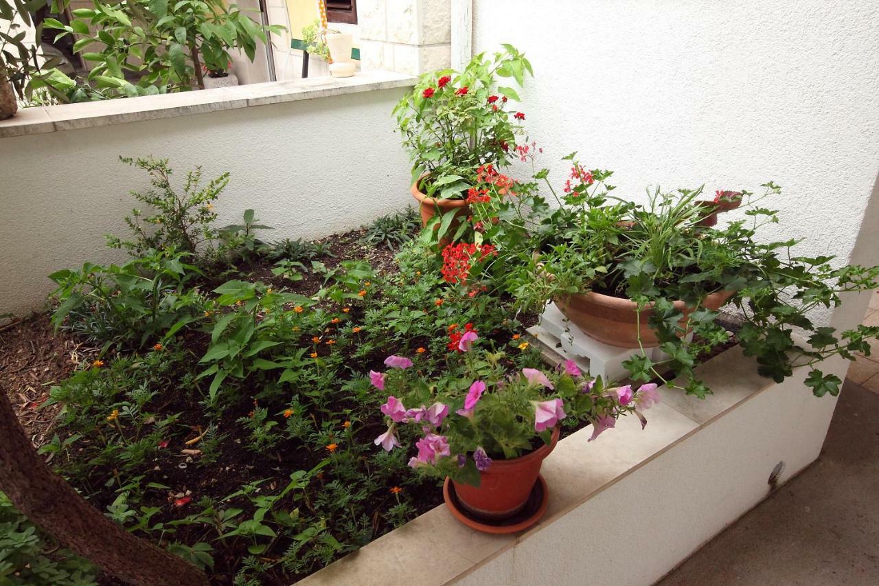 Appartement Luka *