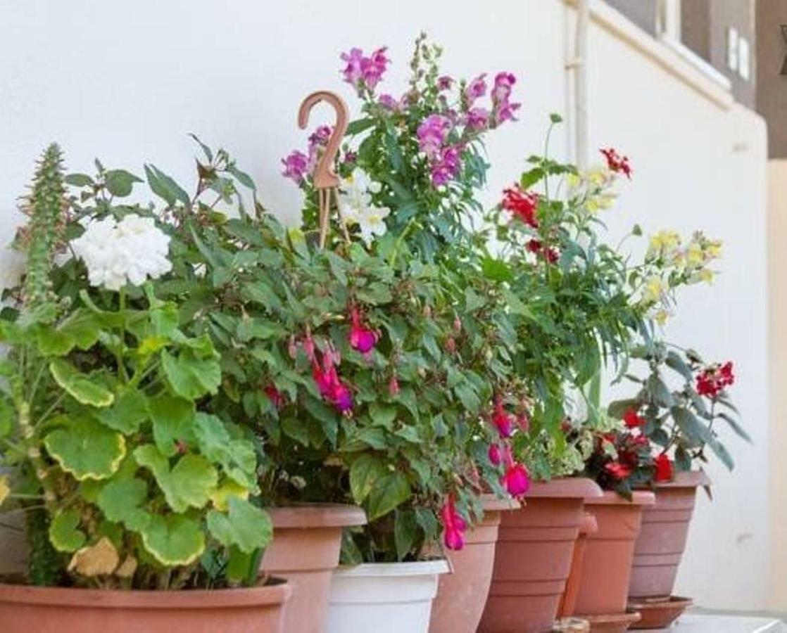 Alijev Guest house Split