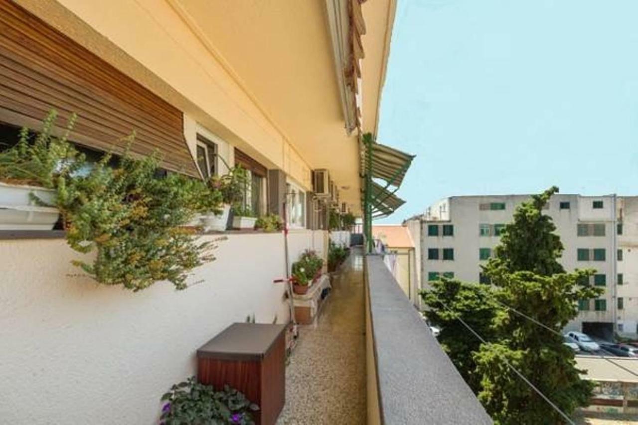 Guest house Alijev